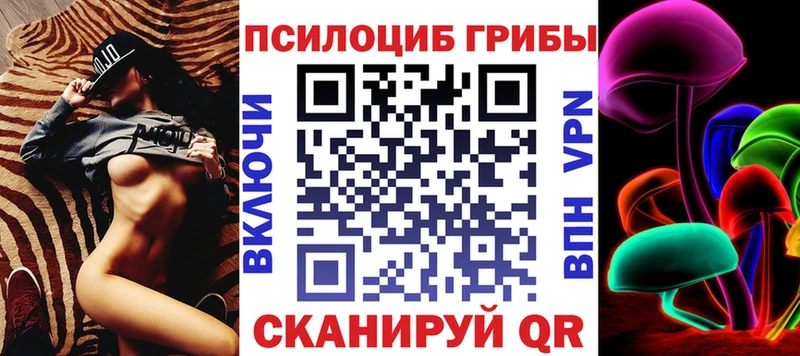 Галлюциногенные грибы Psilocybine cubensis  Бологое 